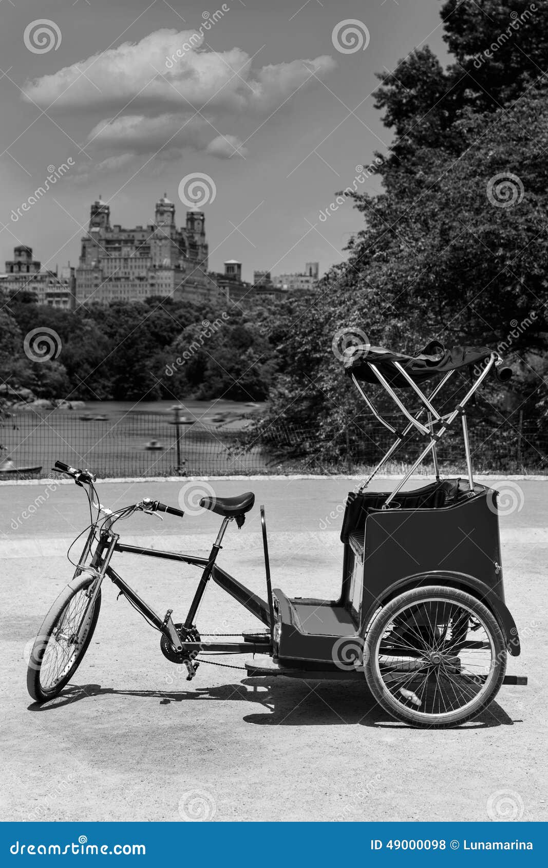 central park manhattan the lake rickshaw bike ny