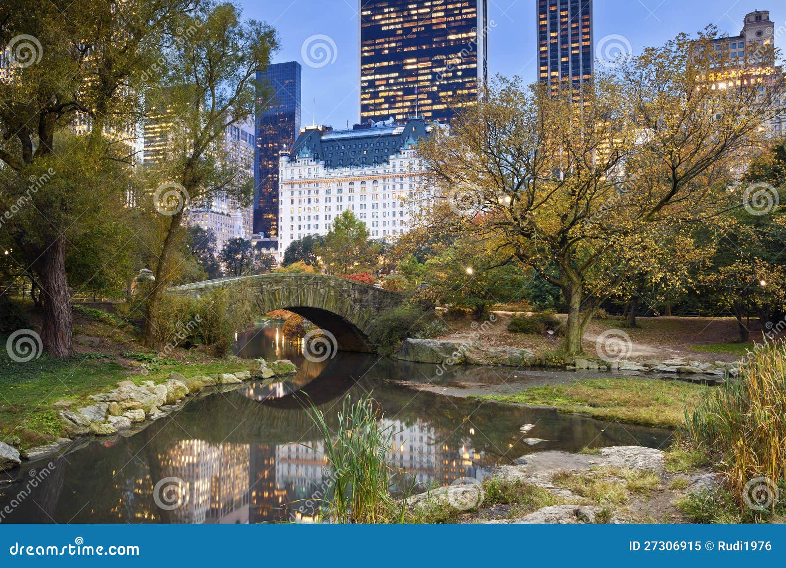 Central Park and Manhattan Skyline. Stock Image - Image of urban ...