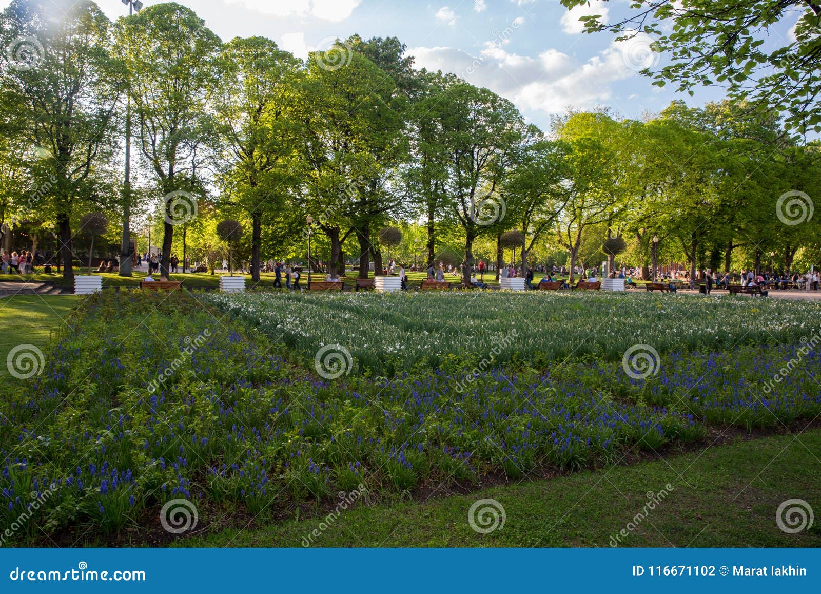 flower bed in   gorky park, moscow 