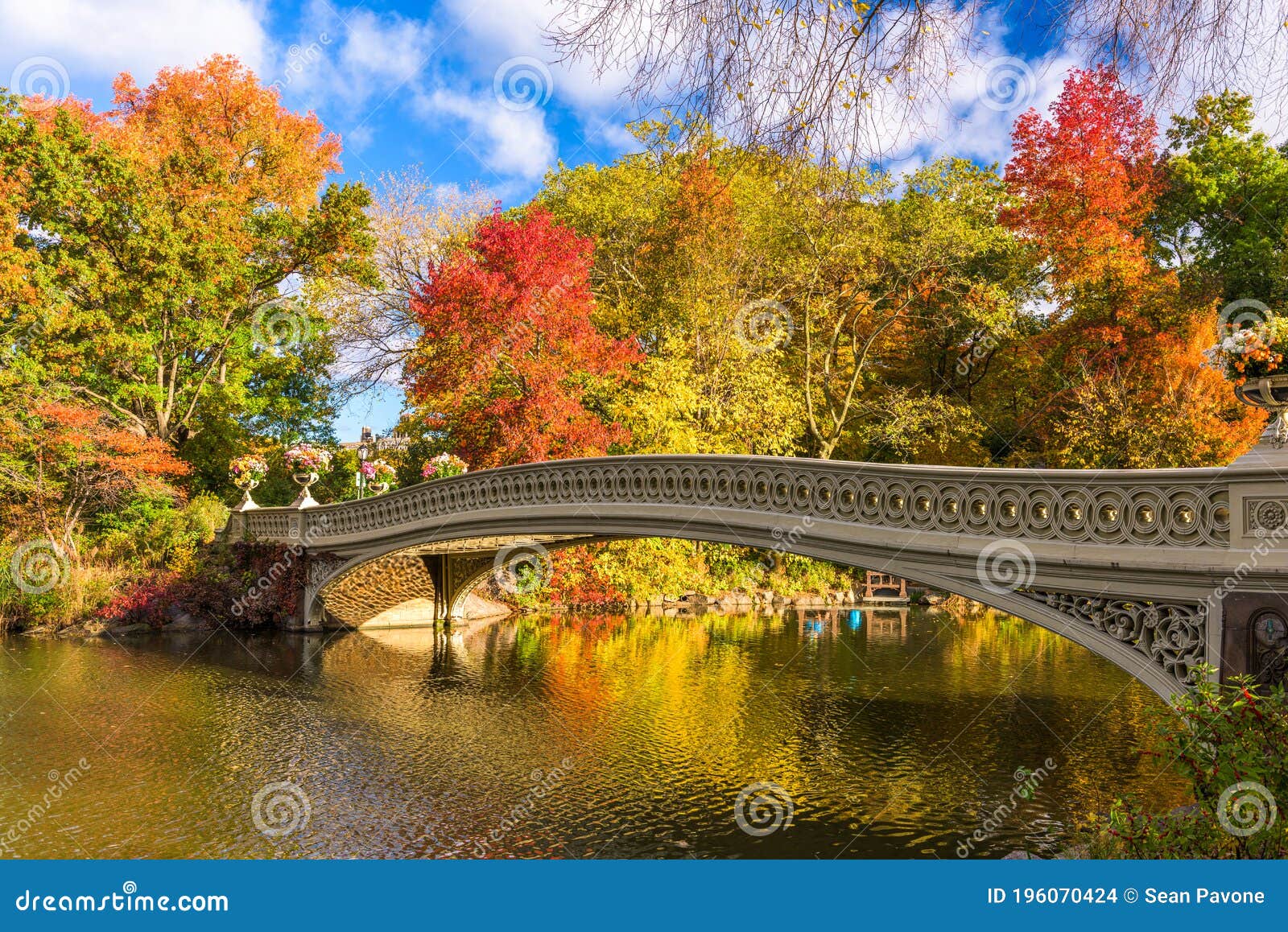 central park new york