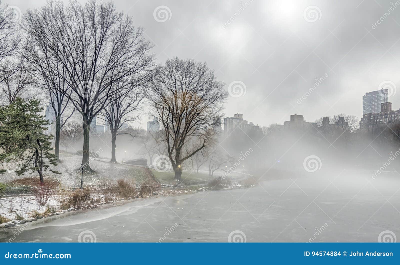 central park new york city nebel