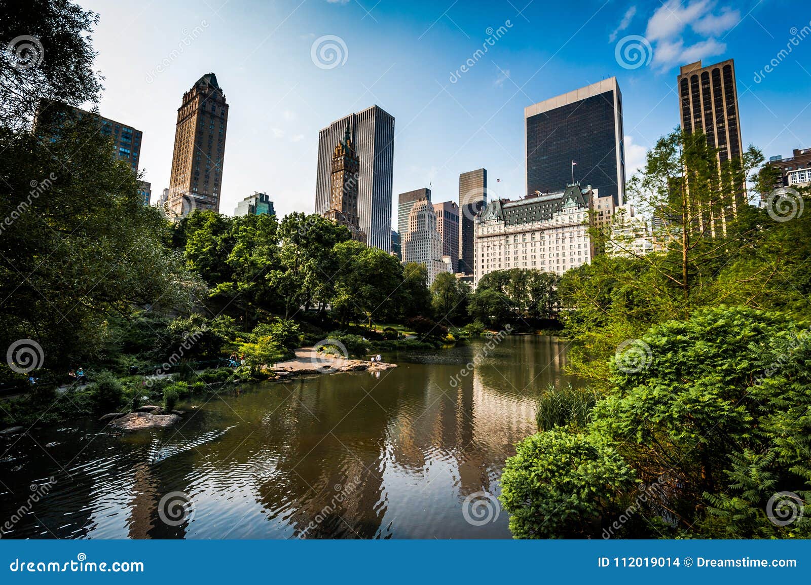 central park in new york. skyscrappers on the backgroud. summer. new york
