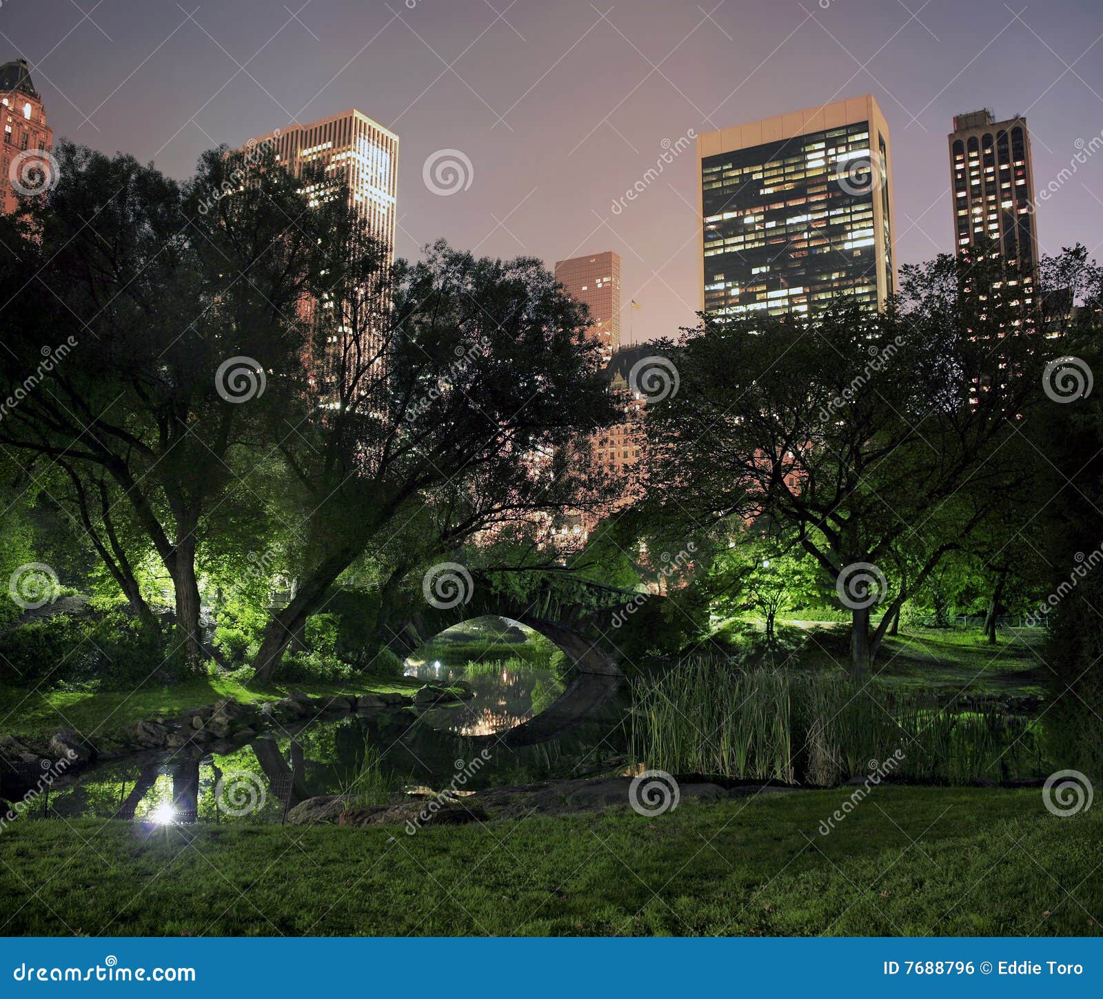 Central Park NYC stock photo. Image of landscape, beauty - 7688796