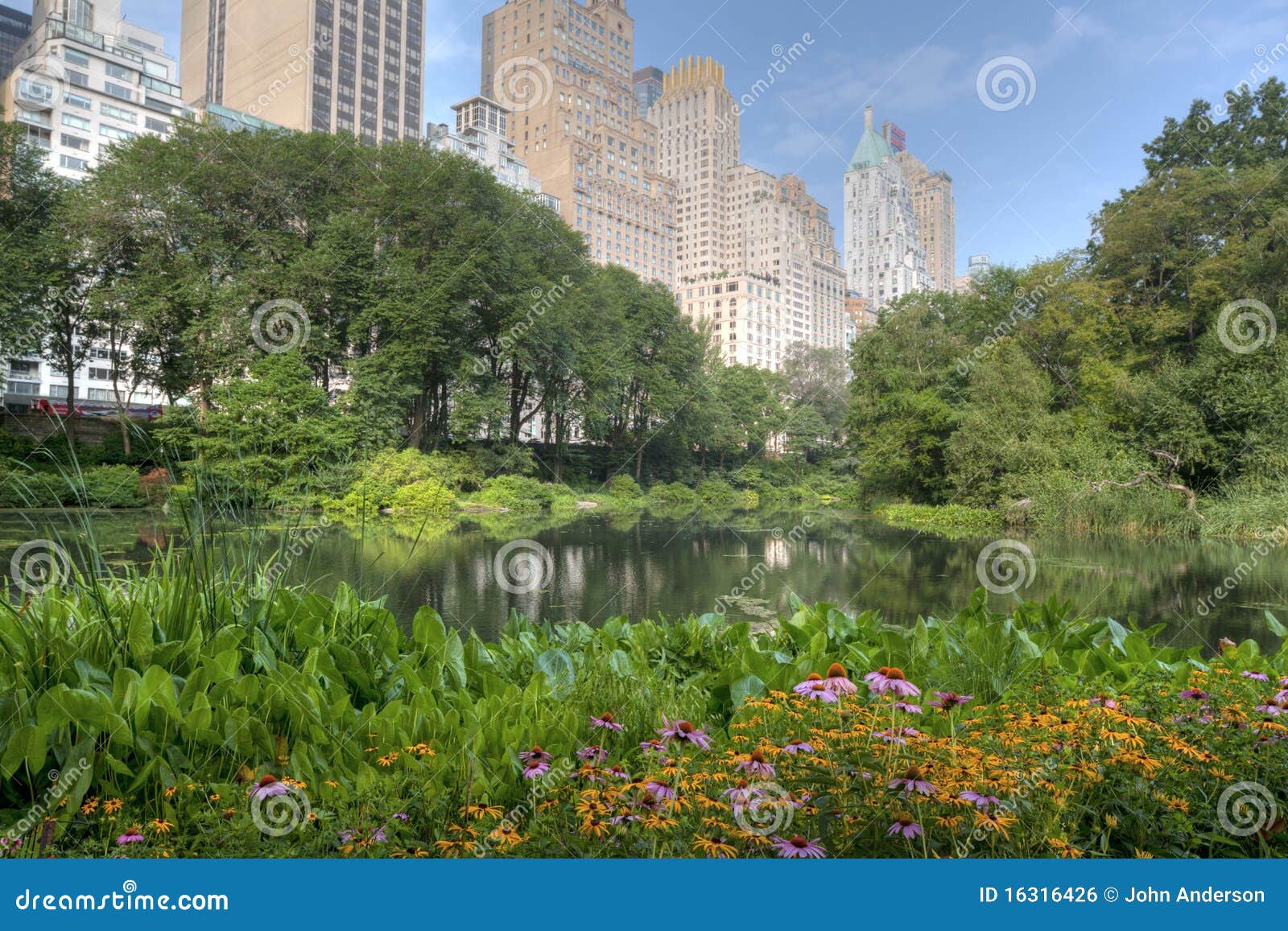 Central Park at the pond stock photo. Image of gapstow - 16316426