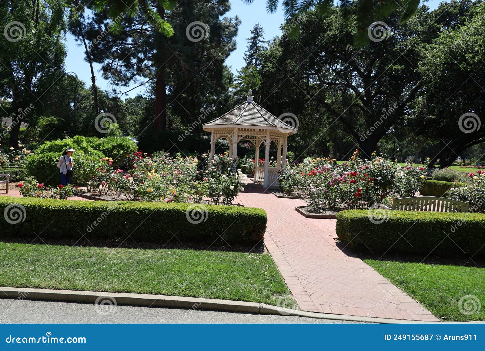 Central Park San Mateo California Editorial Photography Image of