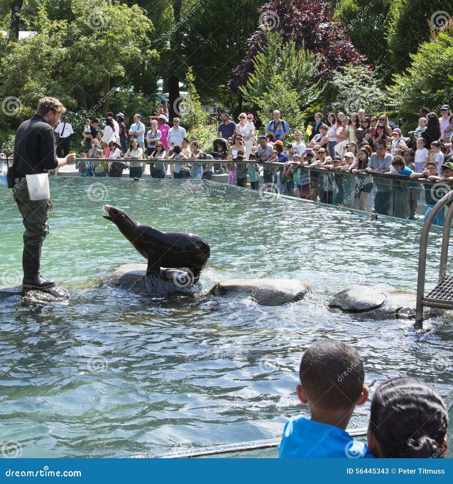 Central Park Zoo New York USA Editorial Stock Photo - Image of children ...