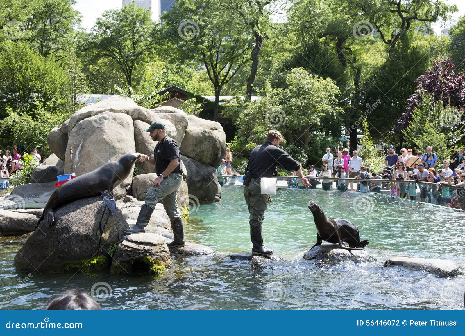 Central Park Zoo New York USA Editorial Photography - Image of outside ...