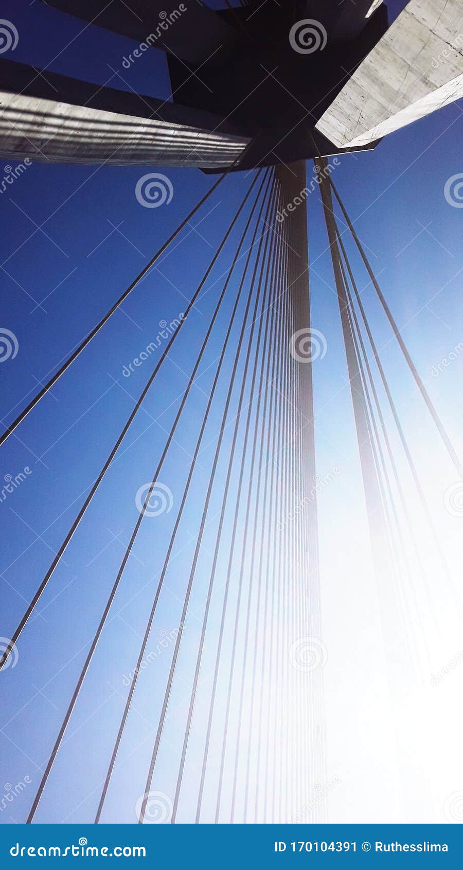 long bridge over the negro river
