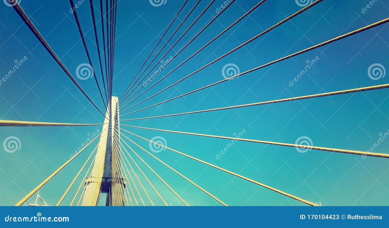 long bridge over the negro river