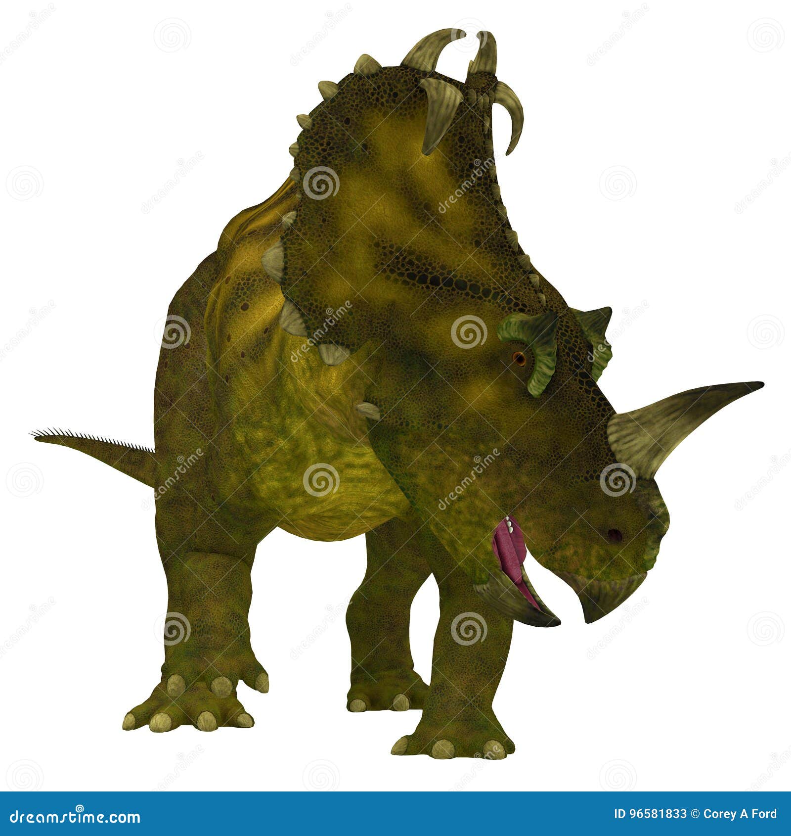 Centrosaurus Dinosaur Neck Frills Stock Illustration - Illustration of image, beak: 96581833