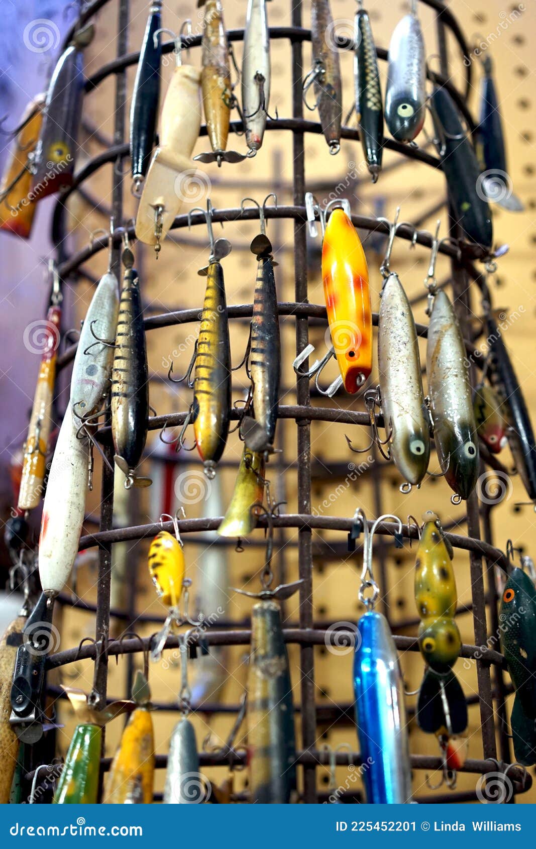 Fishing Lures Mimic Their Prey in Shape and Color Stock Image - Image of  scales, attraction: 225452201