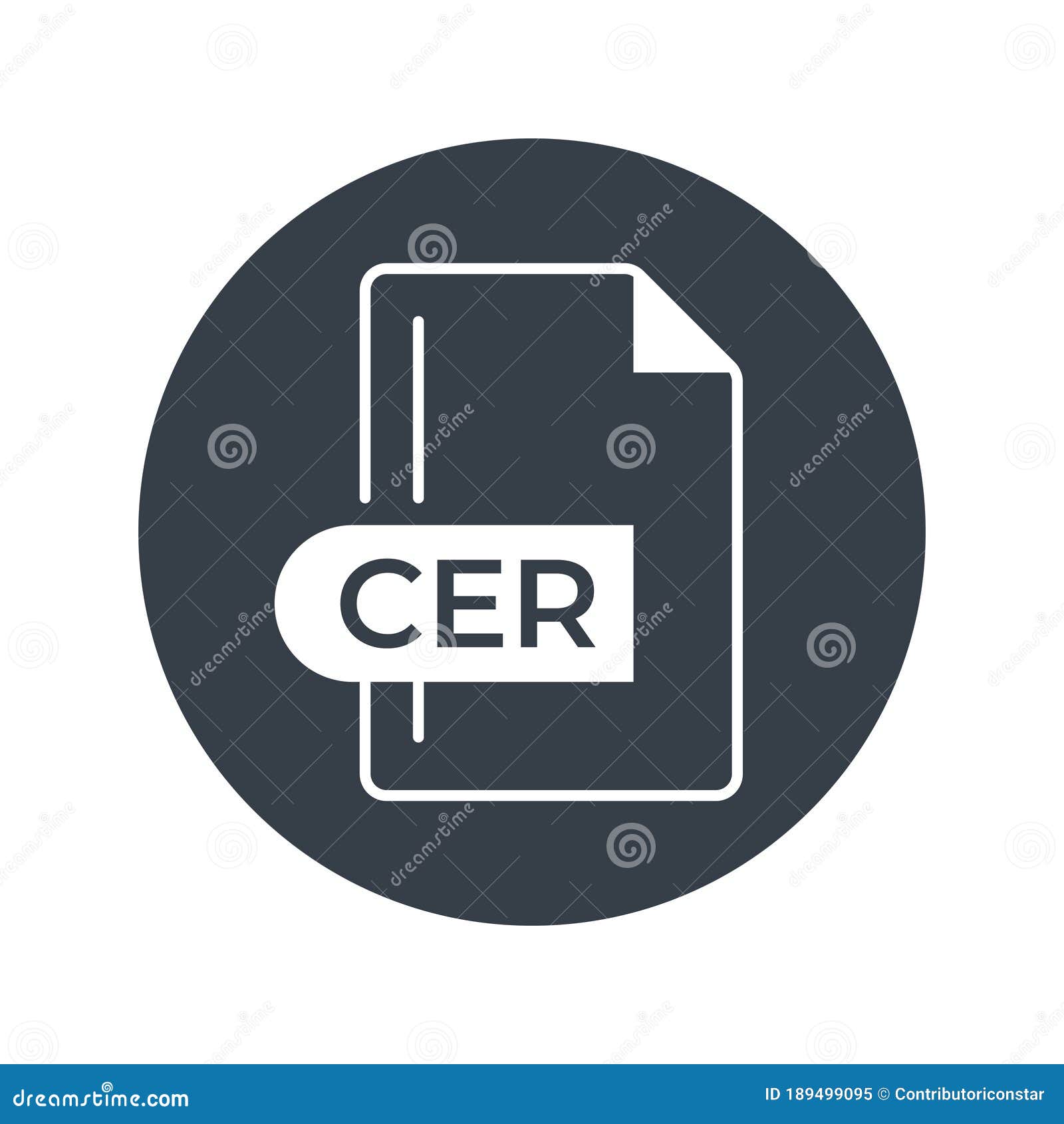 cer file format icon. cer extension filled icon