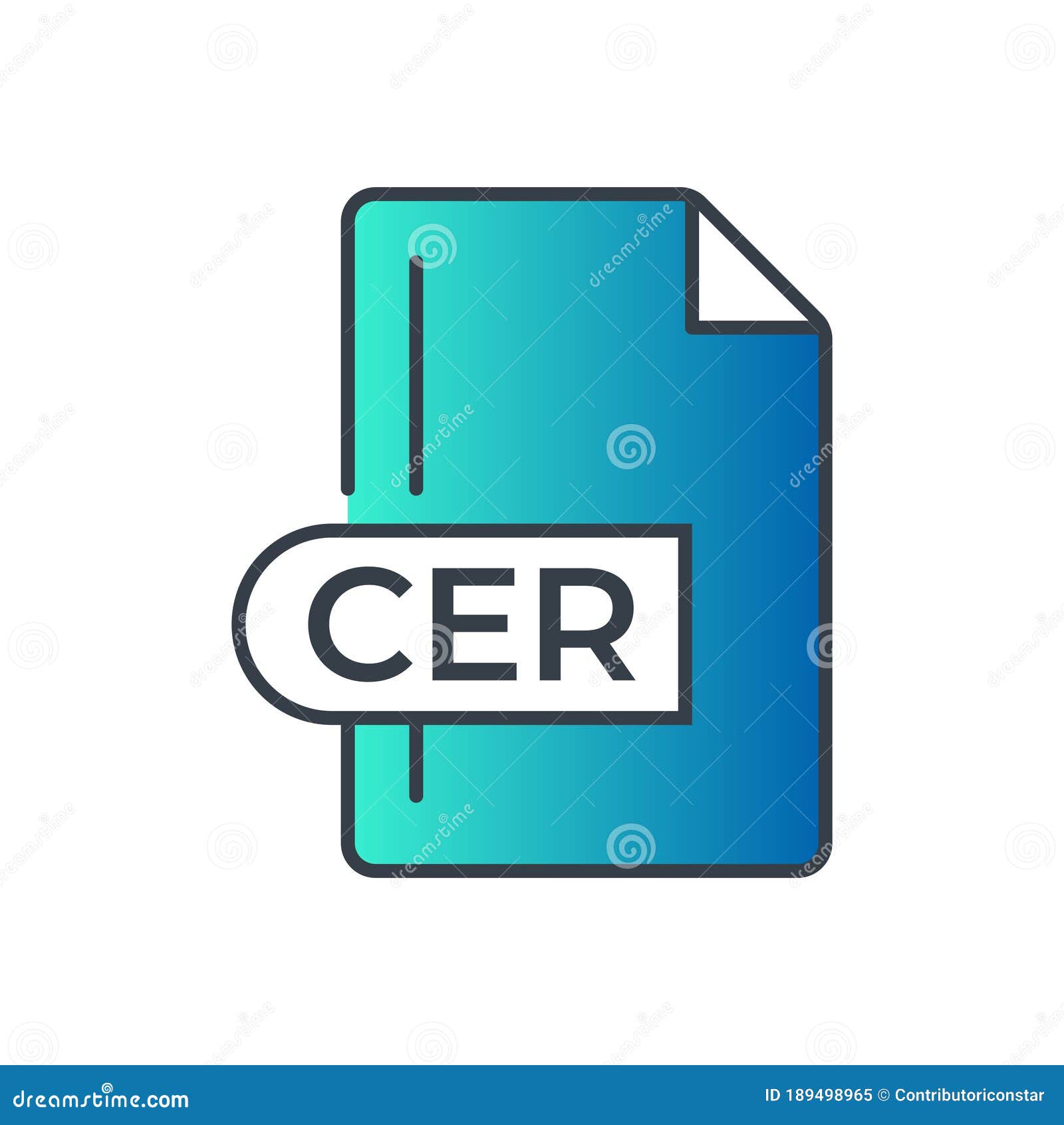 cer file format icon. cer extension gradiant icon
