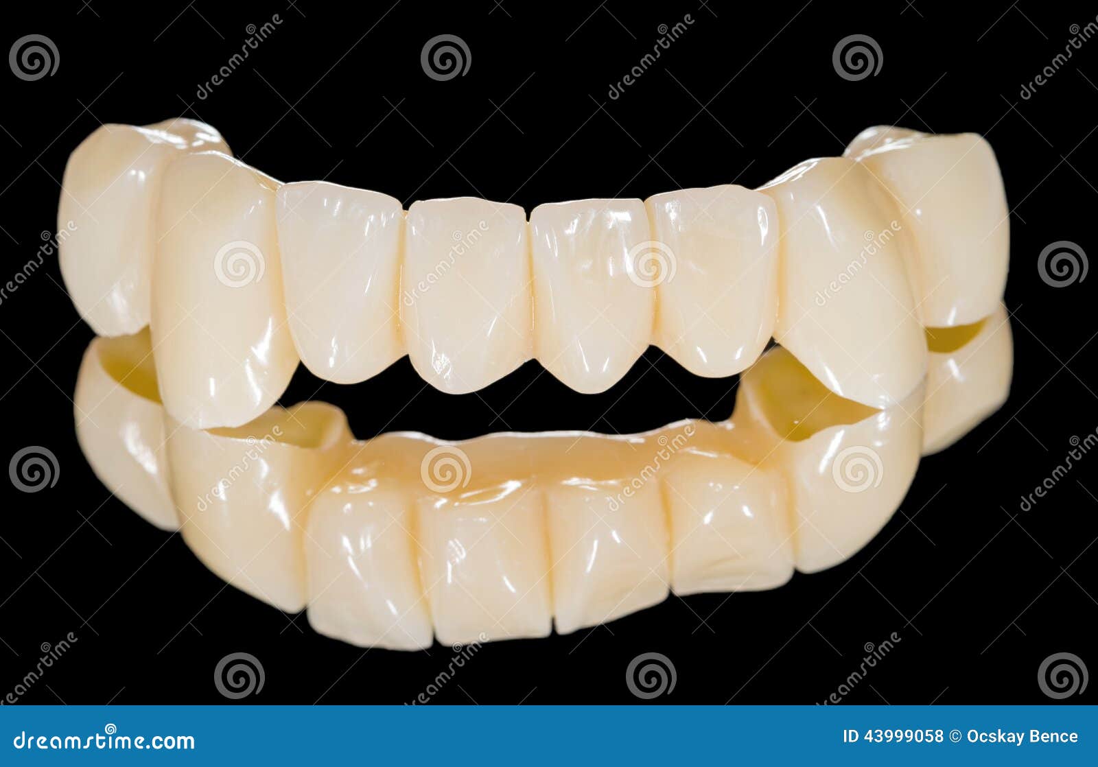 Denture Occlusal Rims Stock Photo 169209270