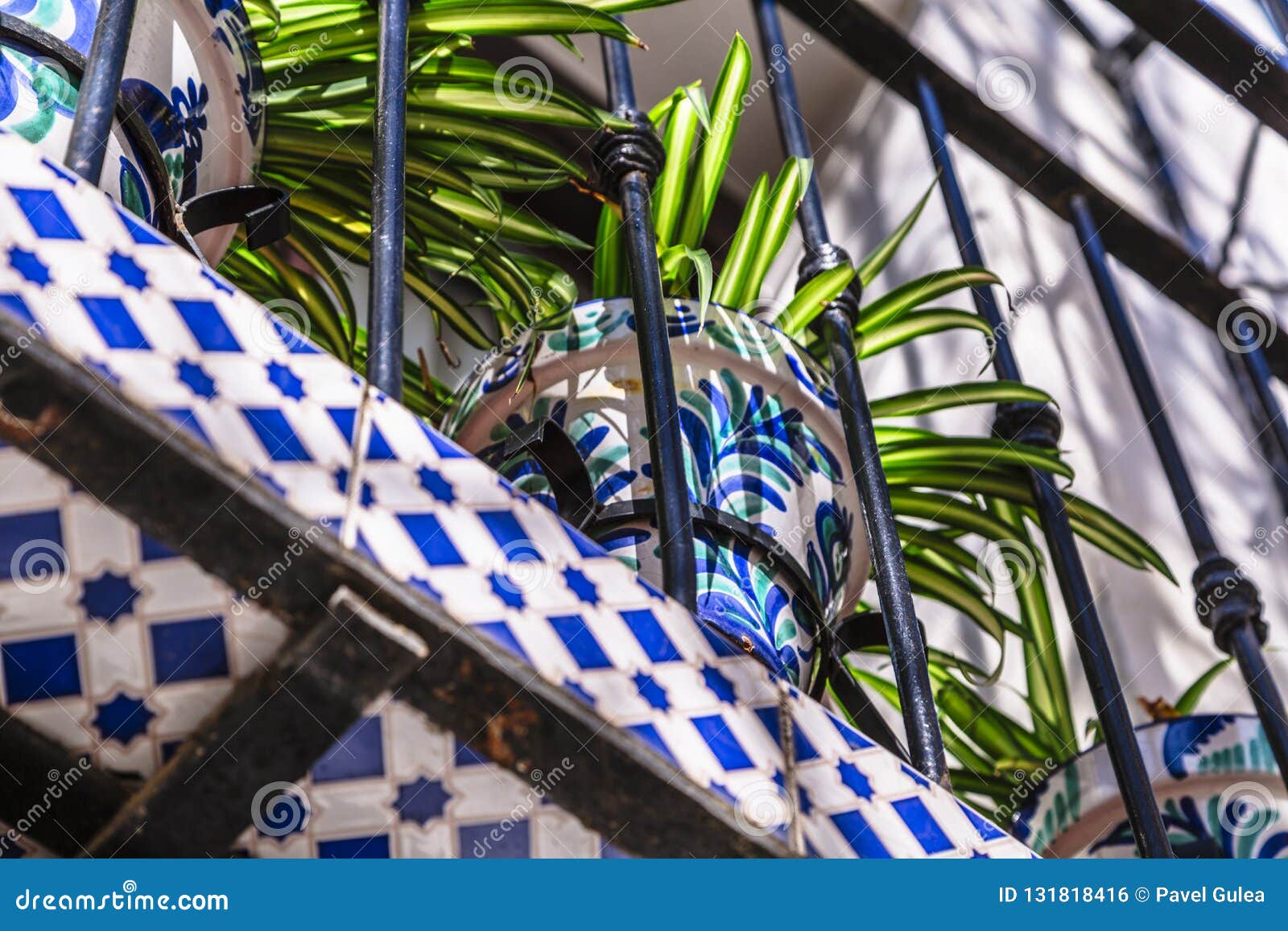 Ceramic Pot with Pattern with Plant on Balcony Stock Photo Image of