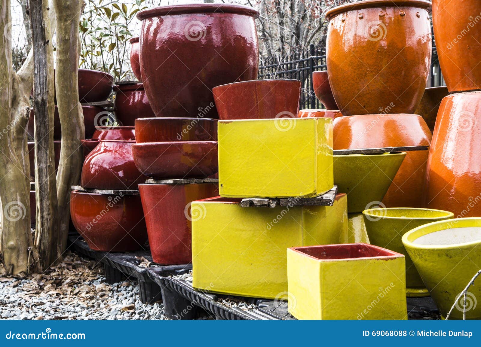 Ceramic Pot Plants with Tree Stock Photo Image of lawn, tree 69068088