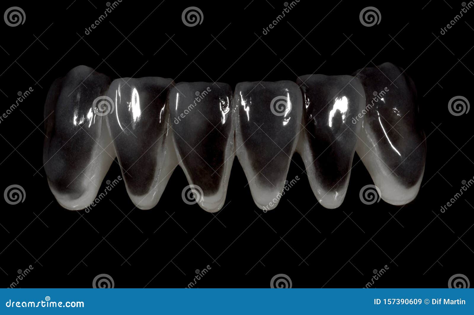 1 241 Art Dental Photos Free Royalty Free Stock Photos From Dreamstime