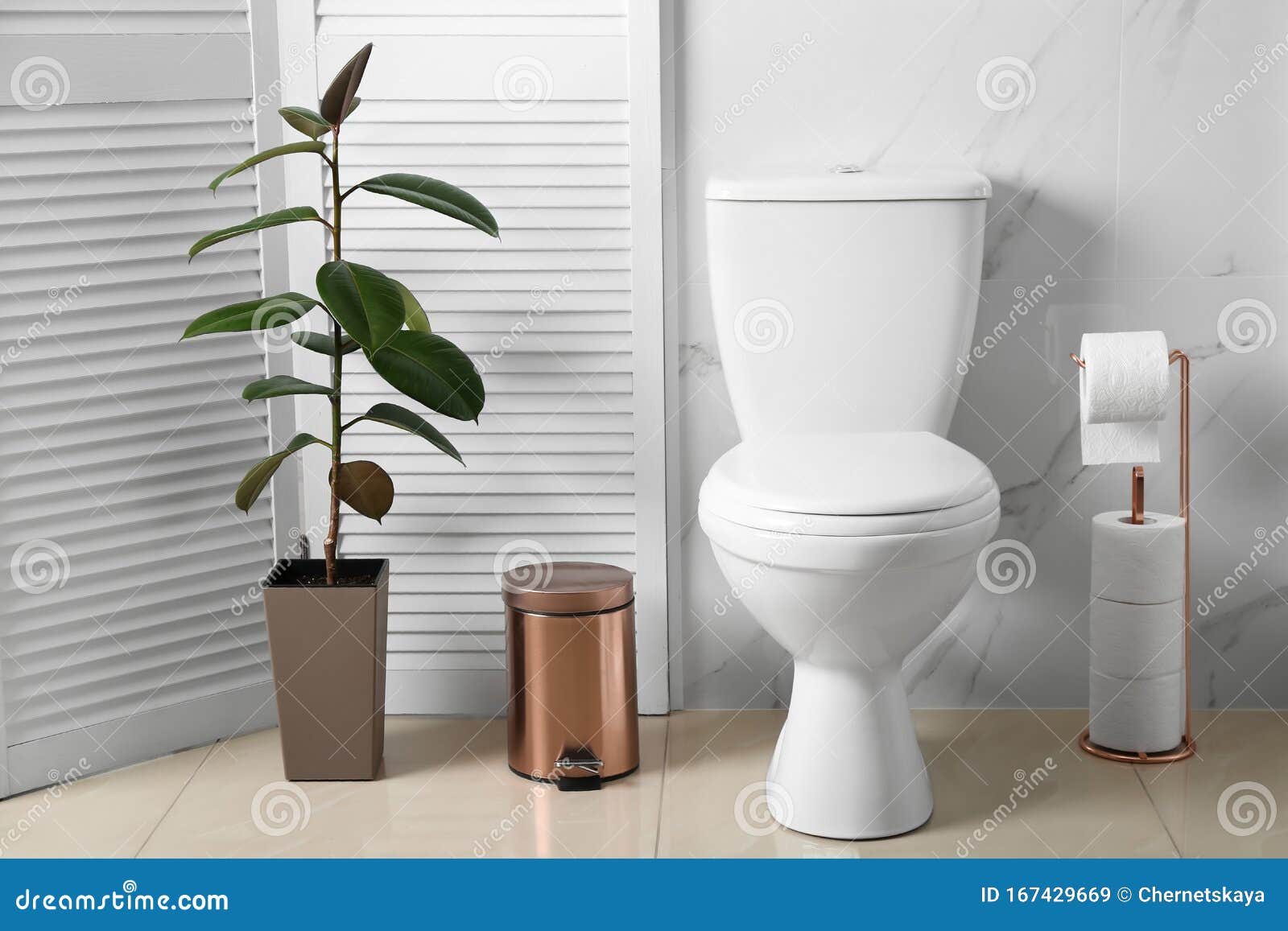 Ceramic Toilet Bowl and Accessories in Bathroom Interior Stock Image