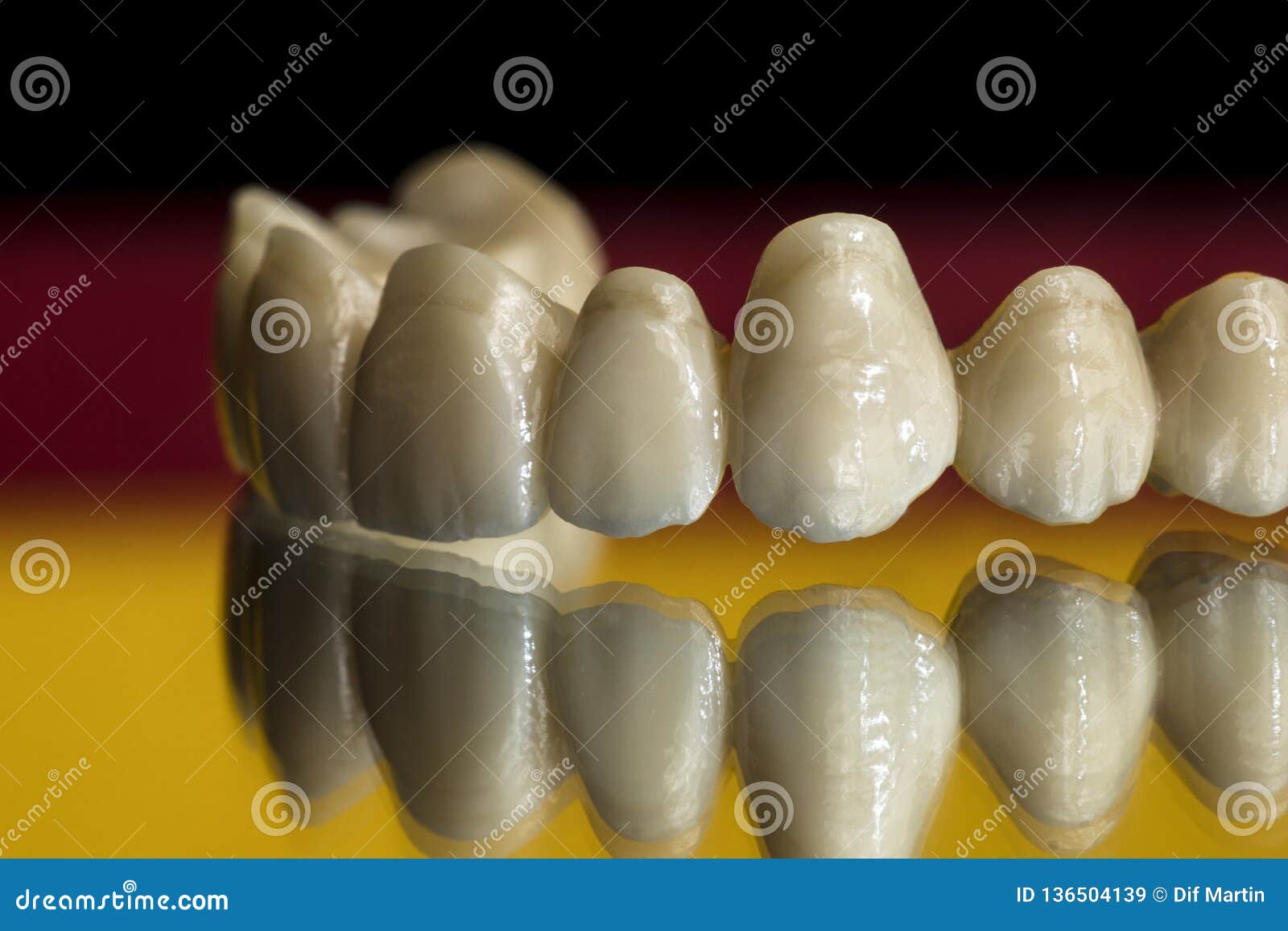 Ceramic Zirconium. Teeth. Dental Technician. Stock Image Image of