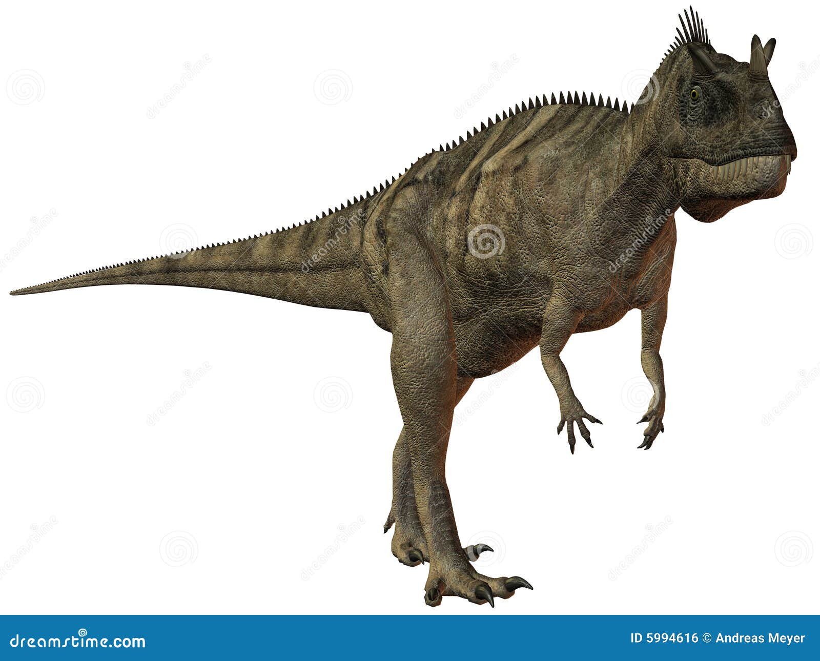 Ceratosaurus Nasicornis3D Dinosaur Stock Illustration Image 5994616