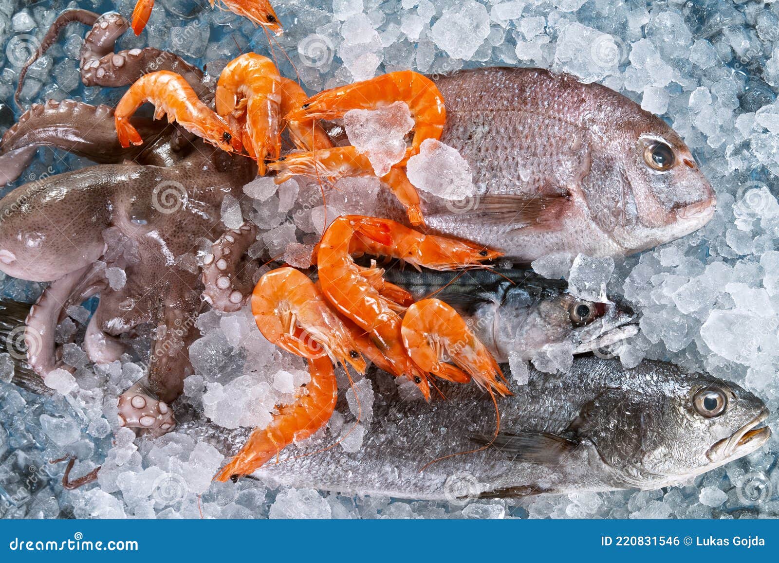 Primer plano de un fresco pescado langostino. Como camarón, pero