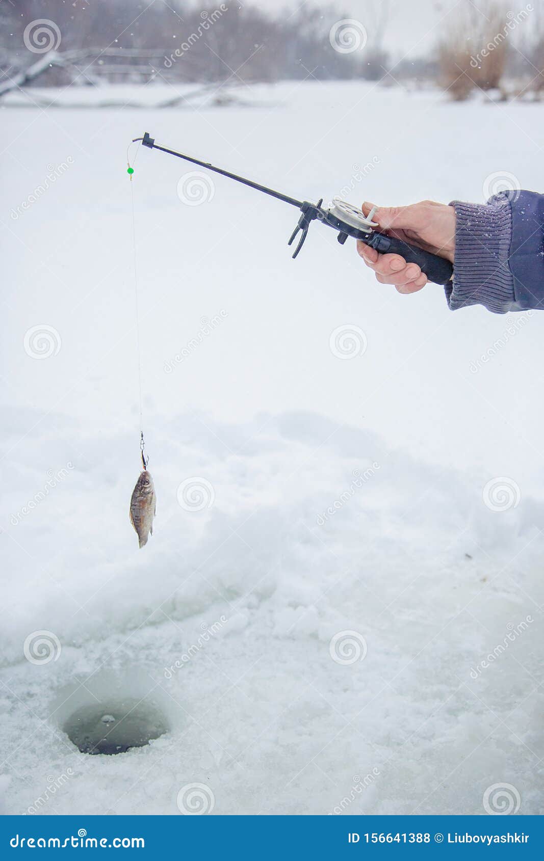 pesca con caña