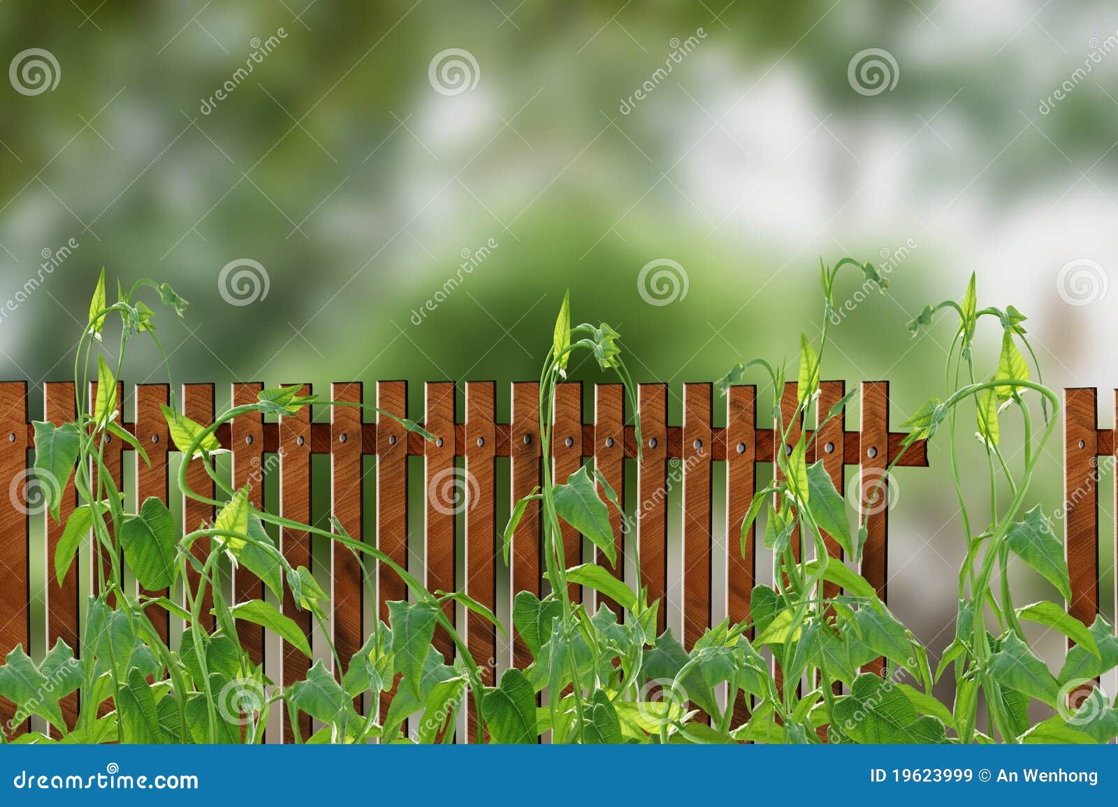 Cerca del jardín imagen de archivo. Imagen de paisaje - 19623999