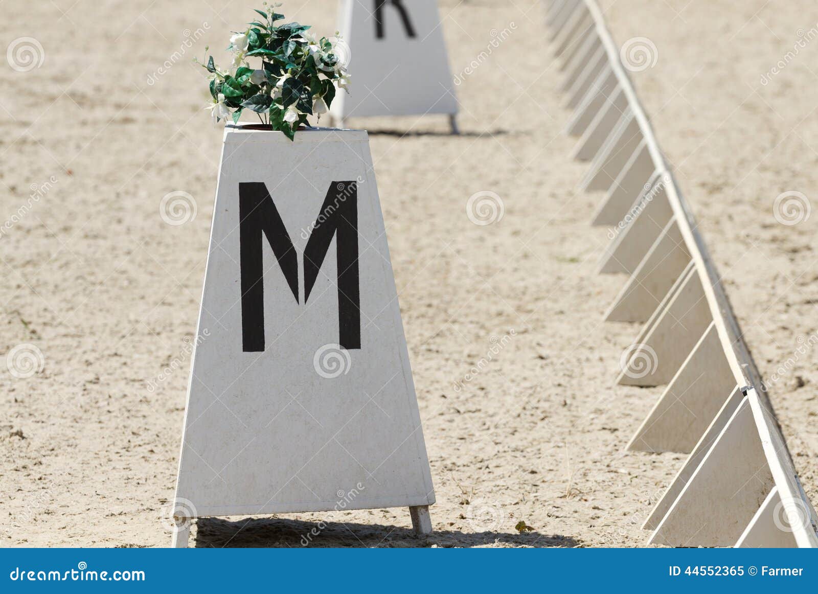 Cerca Do Adestramento Do Cavalo Imagem de Stock - Imagem de equestre,  vestimenta: 44552365, image size:1600x1162