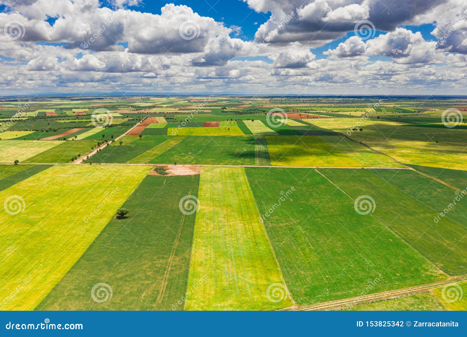 Cereal Agriculture Fields with Bird`s Eye View Stock Photo - Image of ...