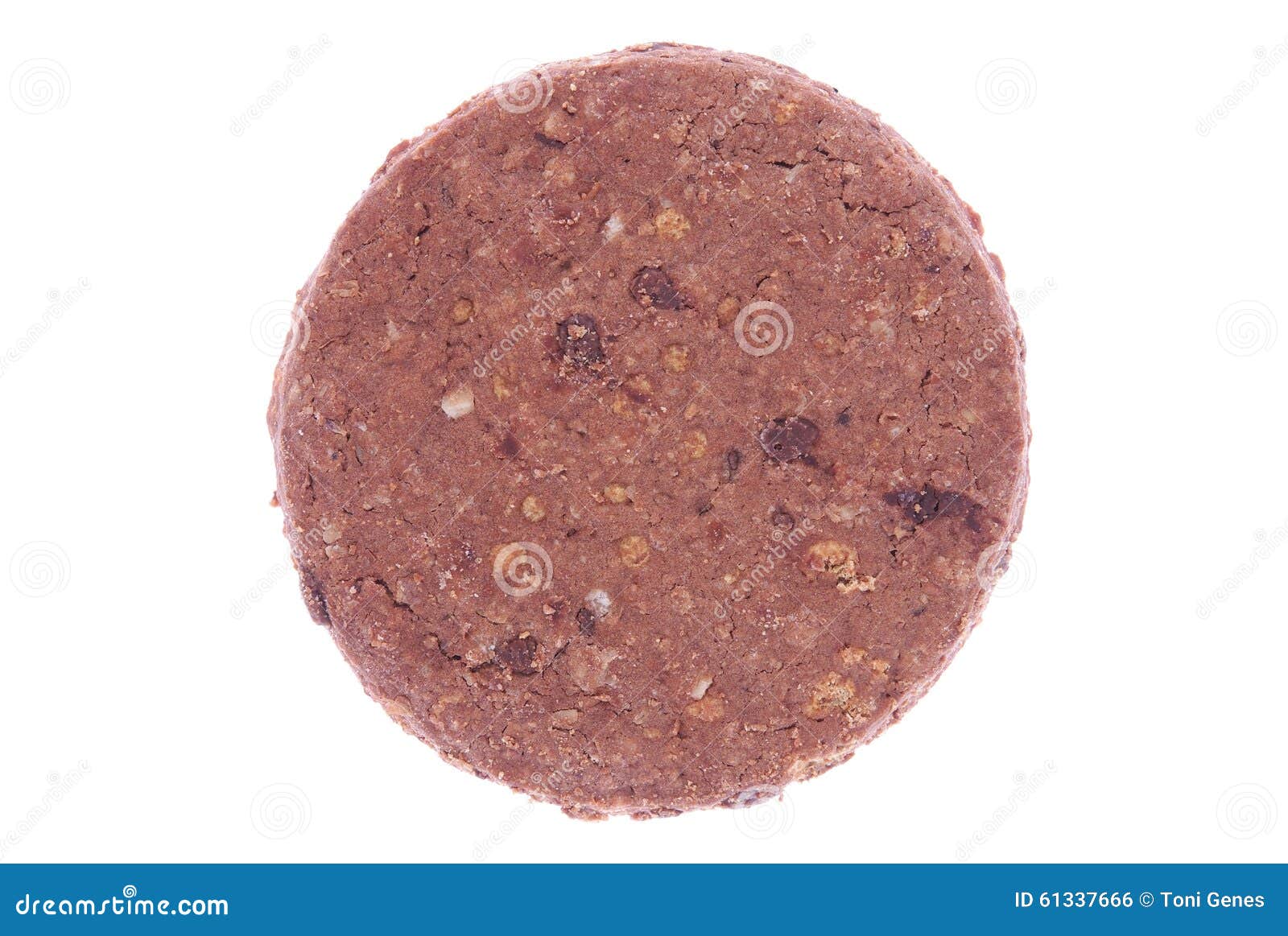 Cereal Biscuit with Chocolate Stock Photo Image of delicious, biscuit