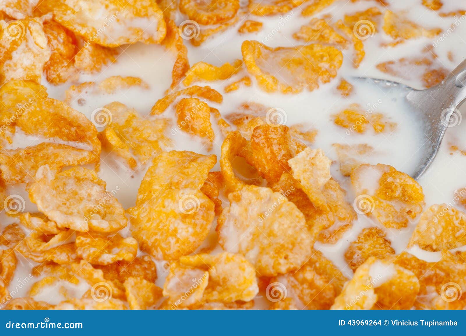 Cereal Flakes stock photo. Image of freeze, health, close 43969264