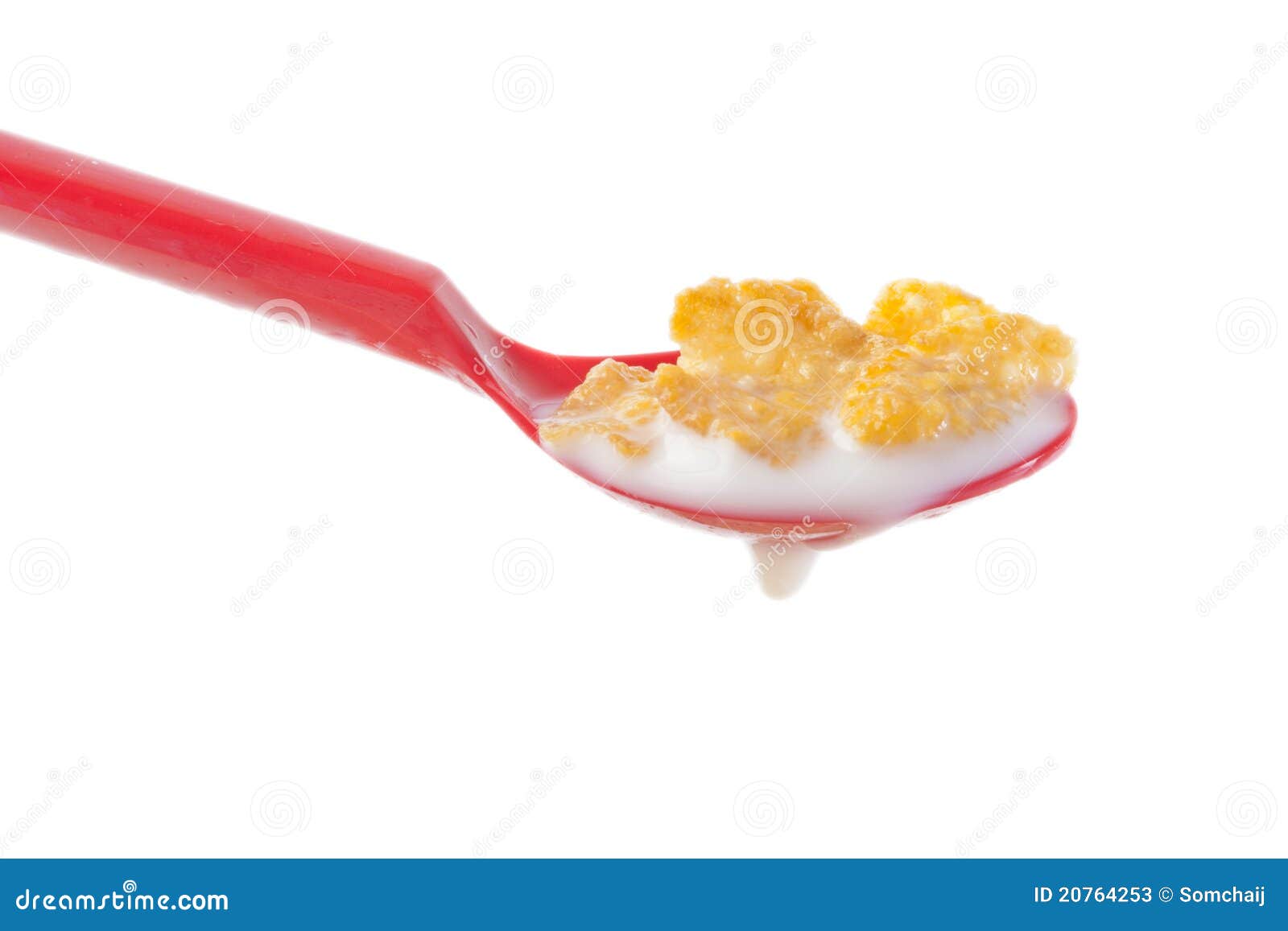 Cereal in Red Spoon with Milk Stock Image Image of nutrition, health