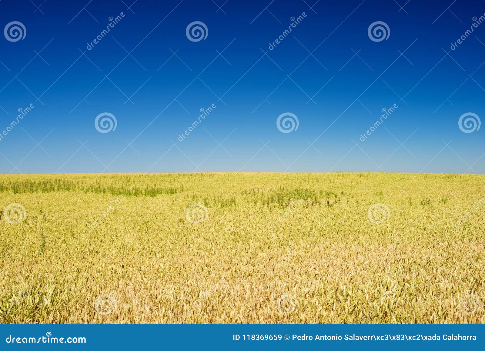 Cereal in Spain stock image. Image of creativity, nutrition 118369659