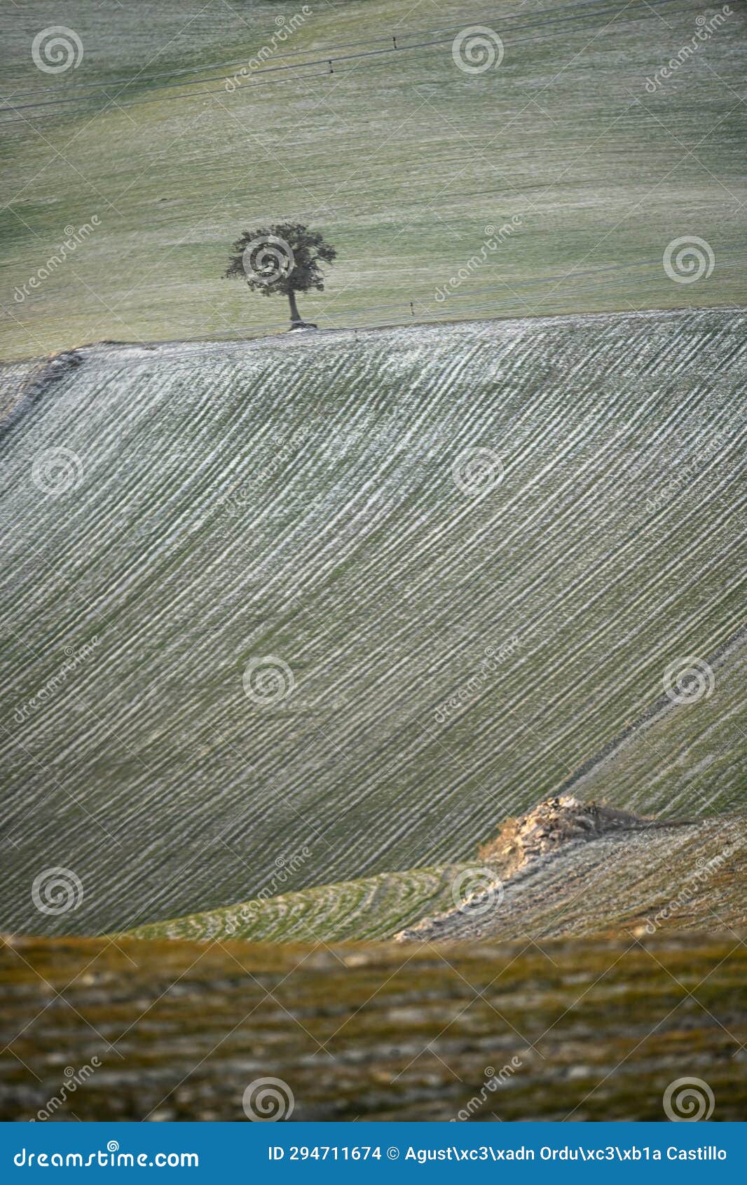 cerealistic landscape of the granada geopark.
