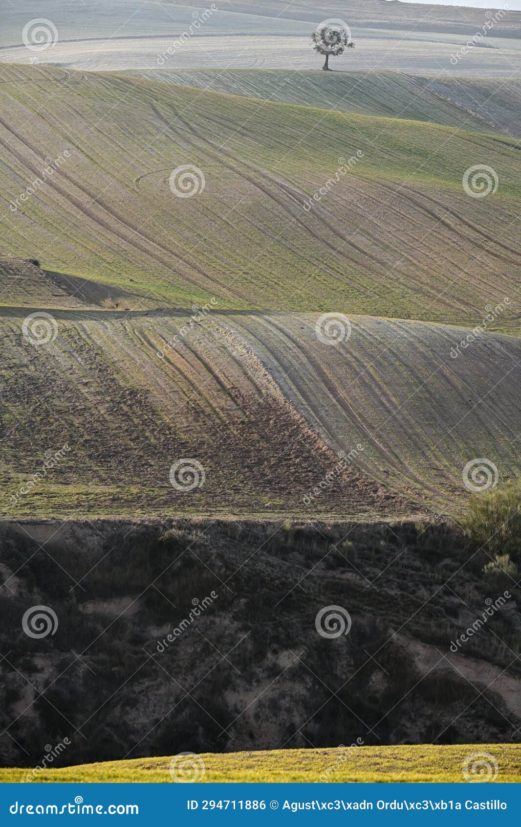 cerealistic landscape of the granada geopark.