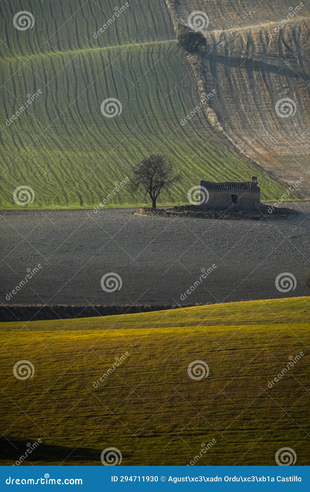 cerealistic landscape of the granada geopark.