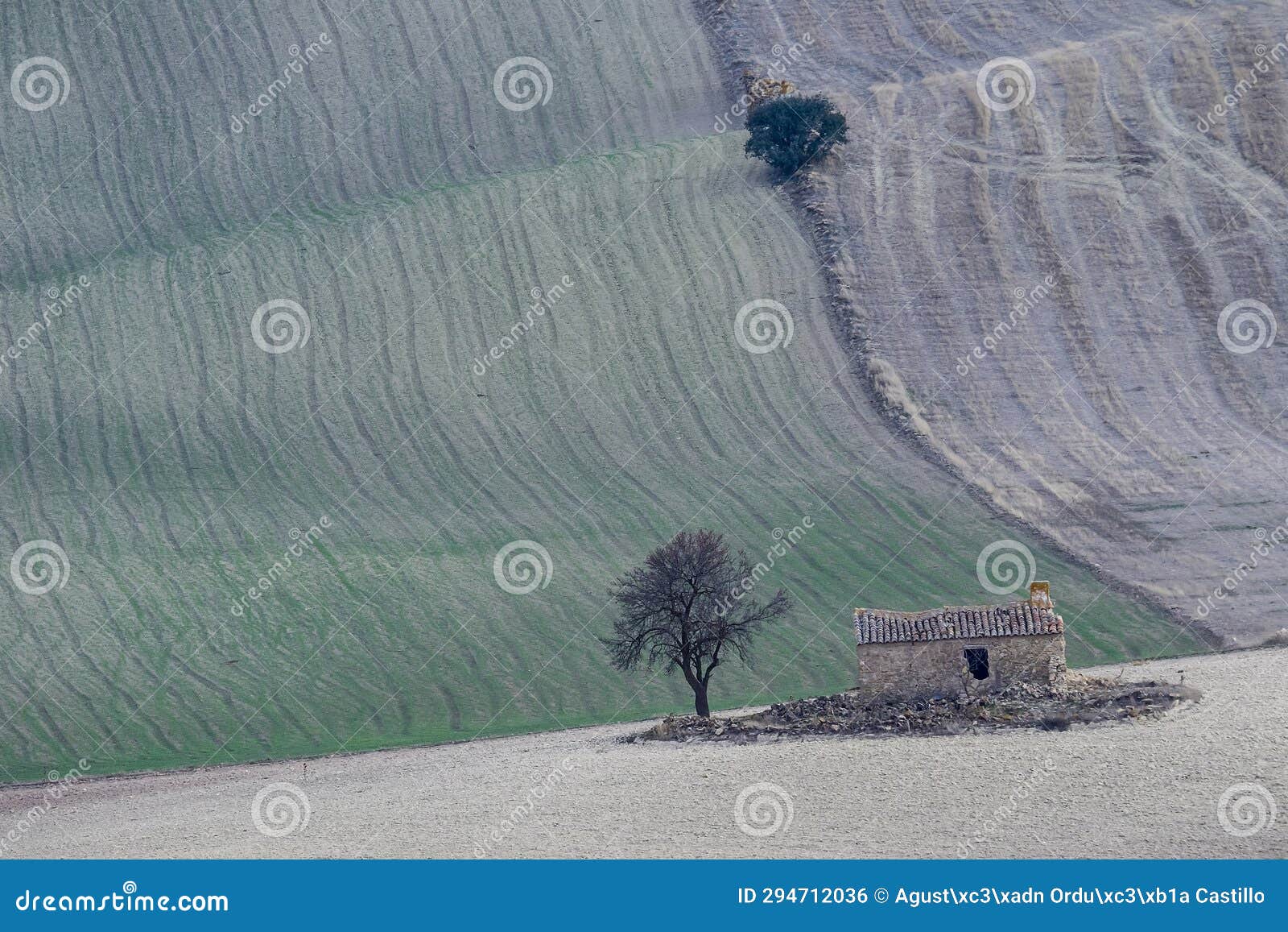 cerealistic landscape of the granada geopark.