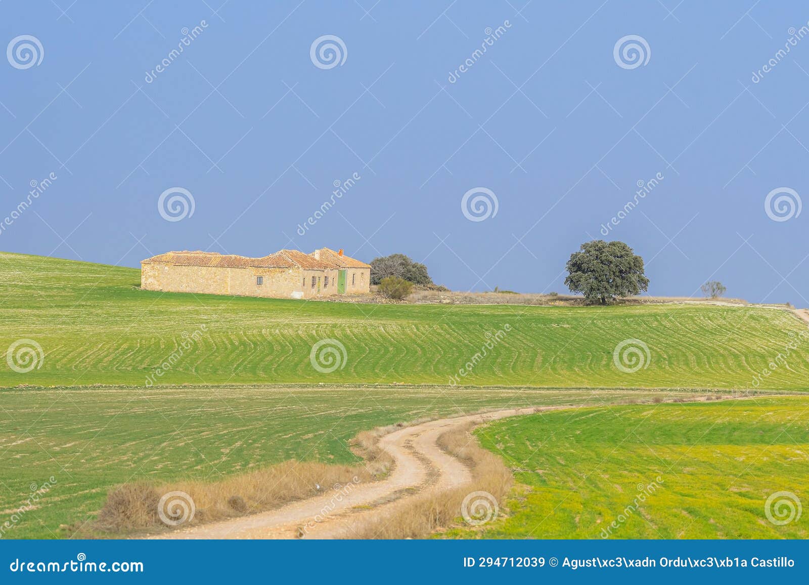 cerealistic landscape of the granada geopark.