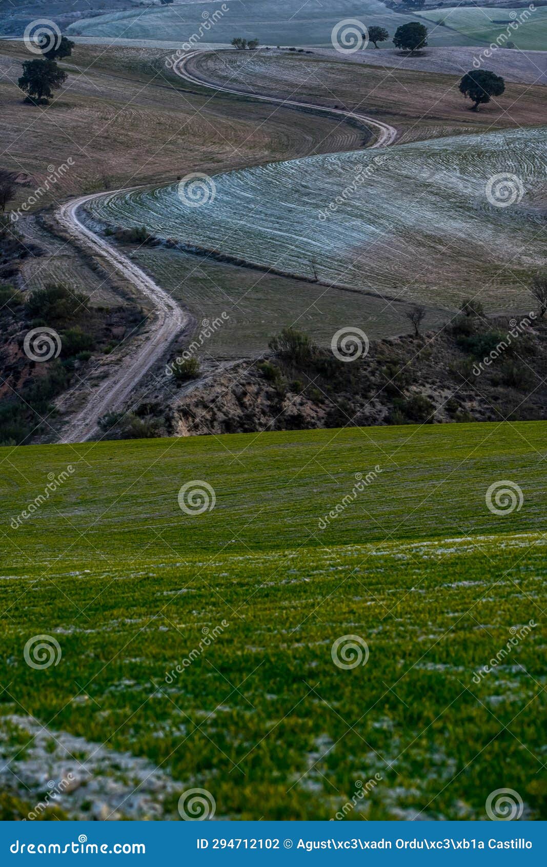 cerealistic landscape of the granada geopark.