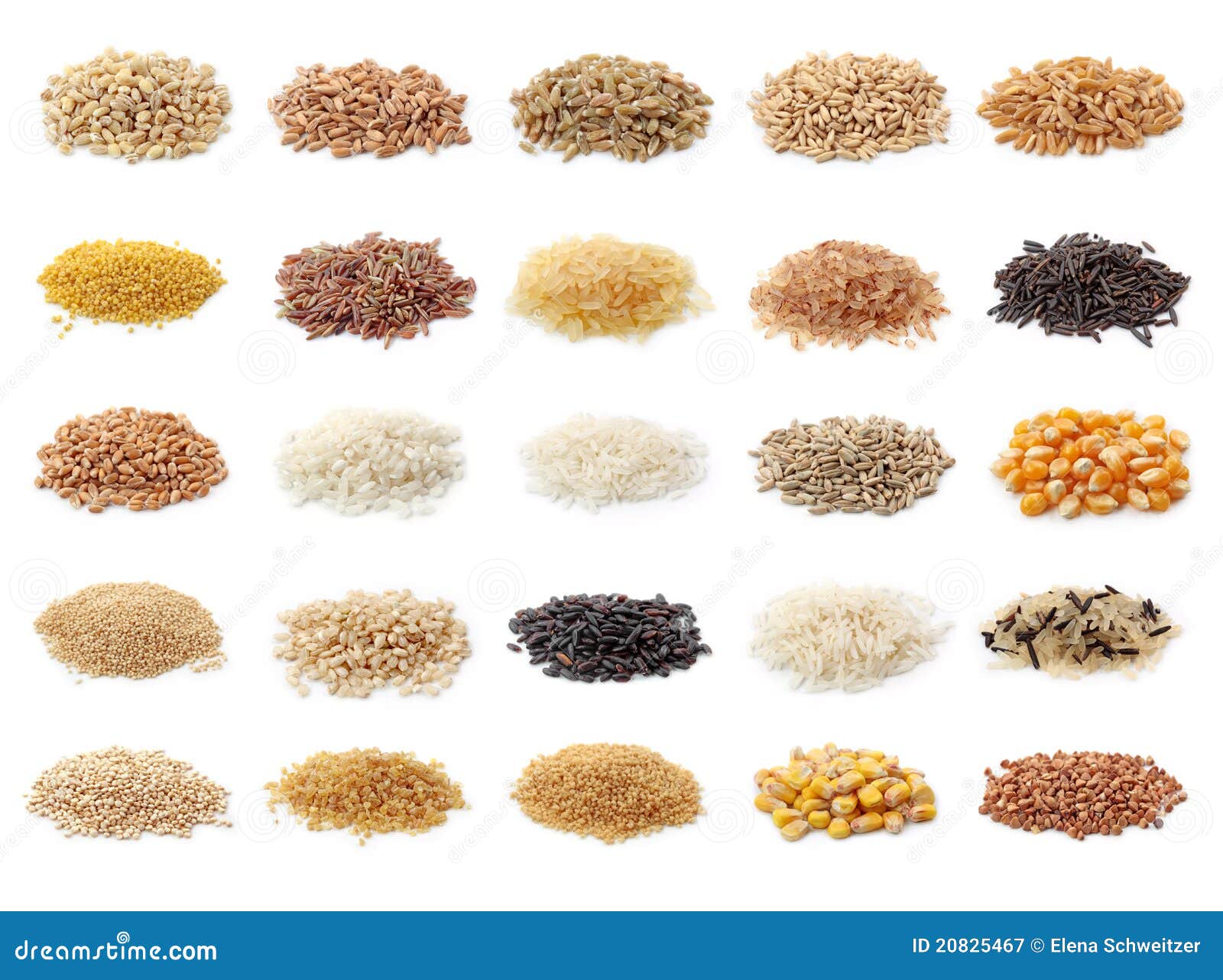 Cereals collection stock image. Image of cereal, dried 20825467