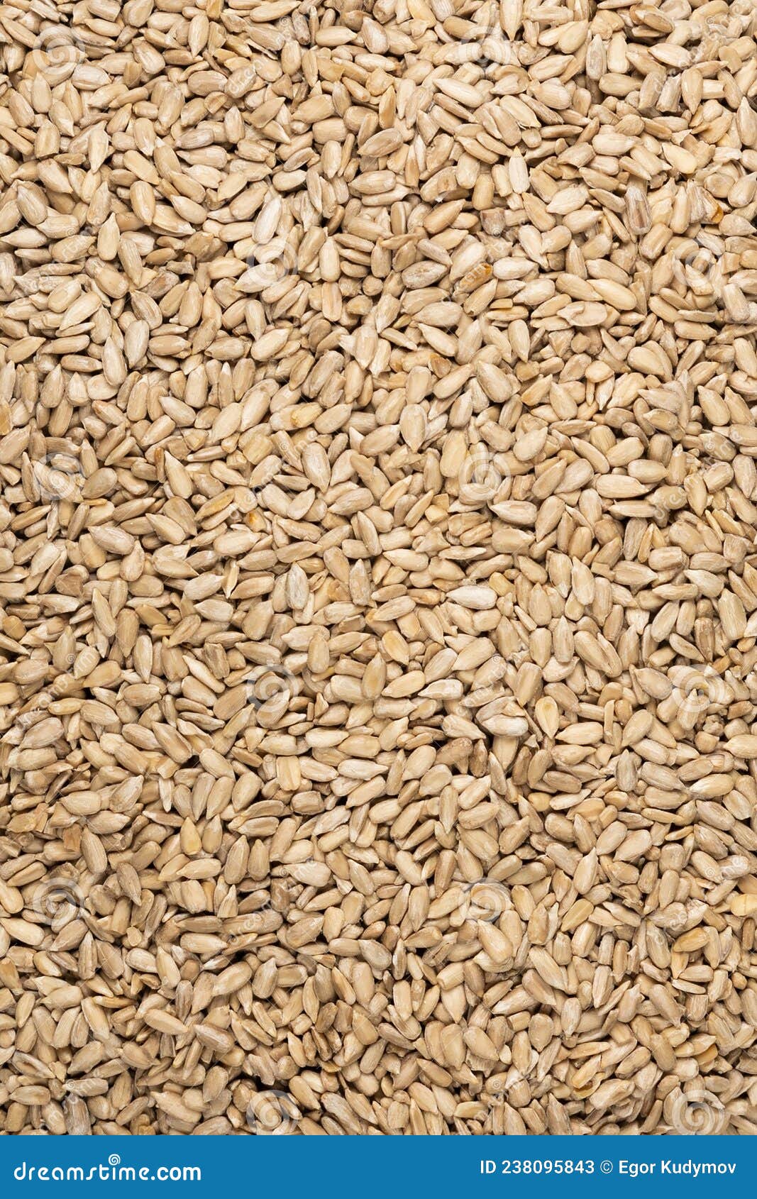 Cereals from Grains for Proper Nutrition Closeup Top View Stock Image Image of bread, cook