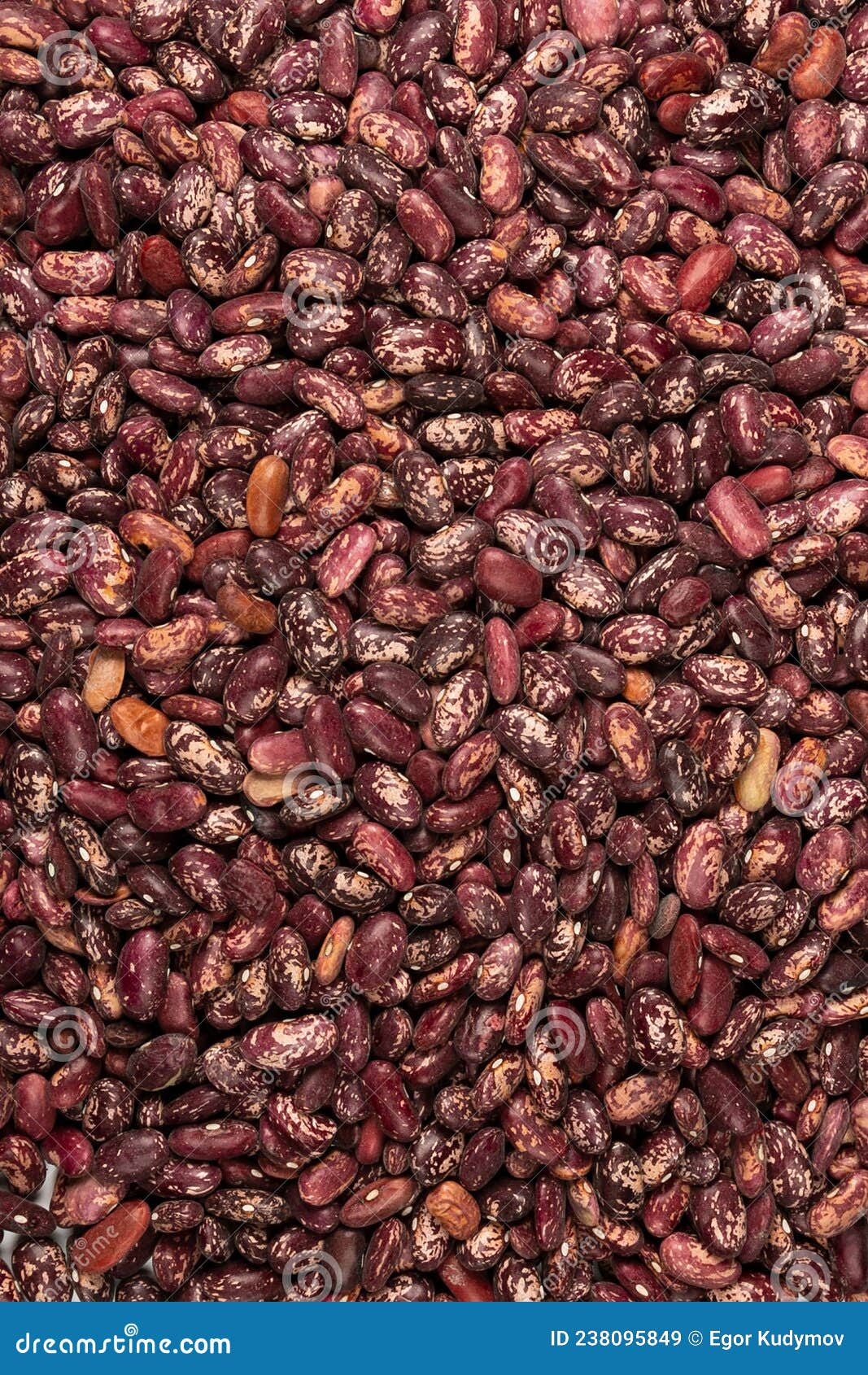 Cereals from Grains for Proper Nutrition Closeup Top View Stock Image Image of meal