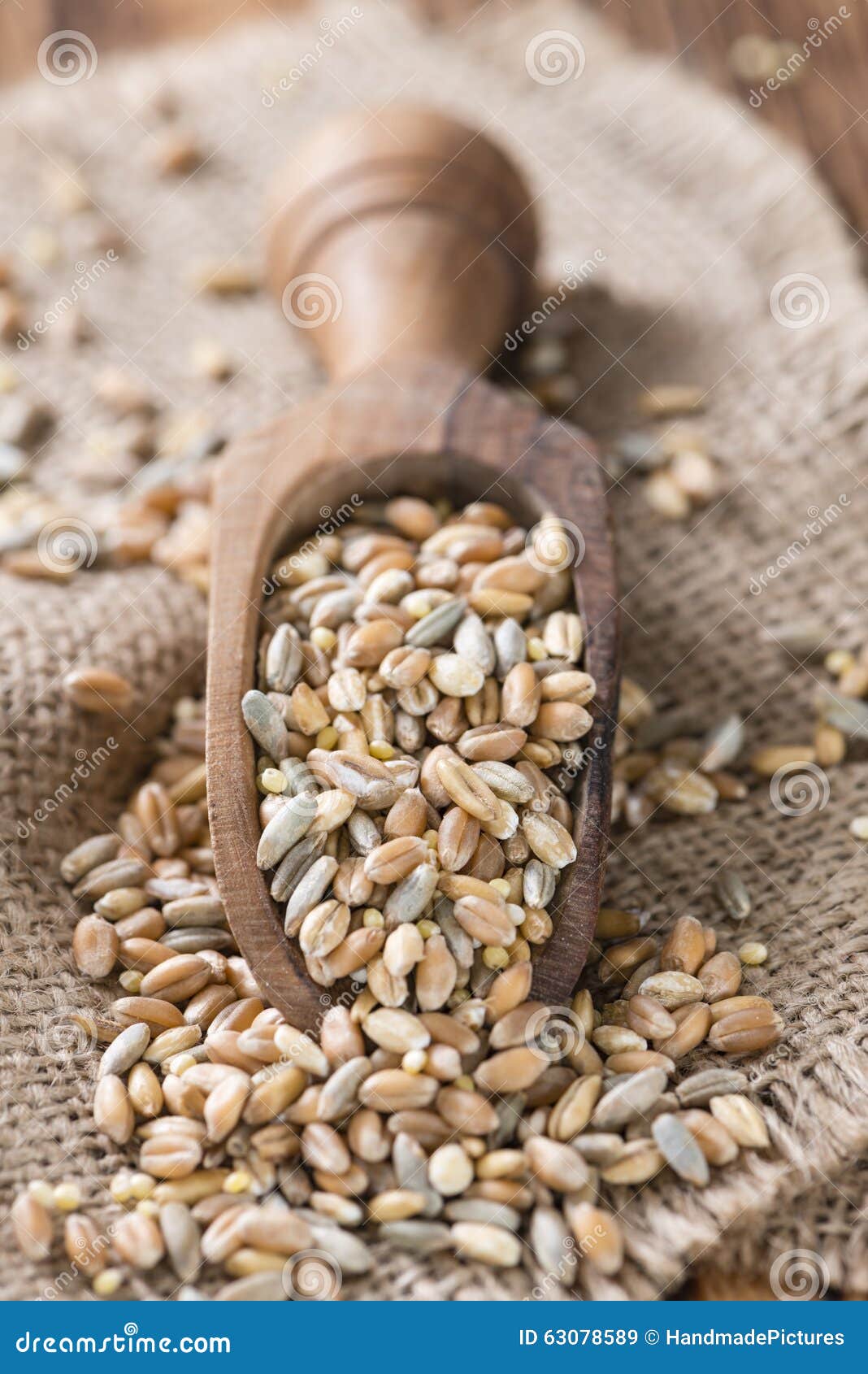 Cereals (wheat, Rye, Barley, Oat And Millet) Stock Image ...