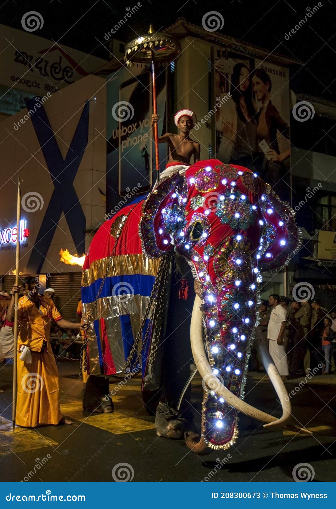 An Elephant Parades In The Day Perahera. Editorial Photo ...