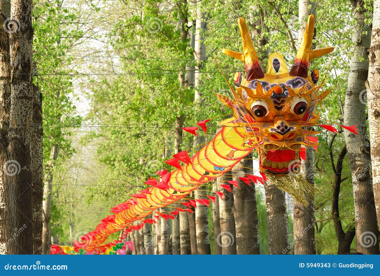 Cerf-volant de dragon image stock. Image du course, couleur - 5949343