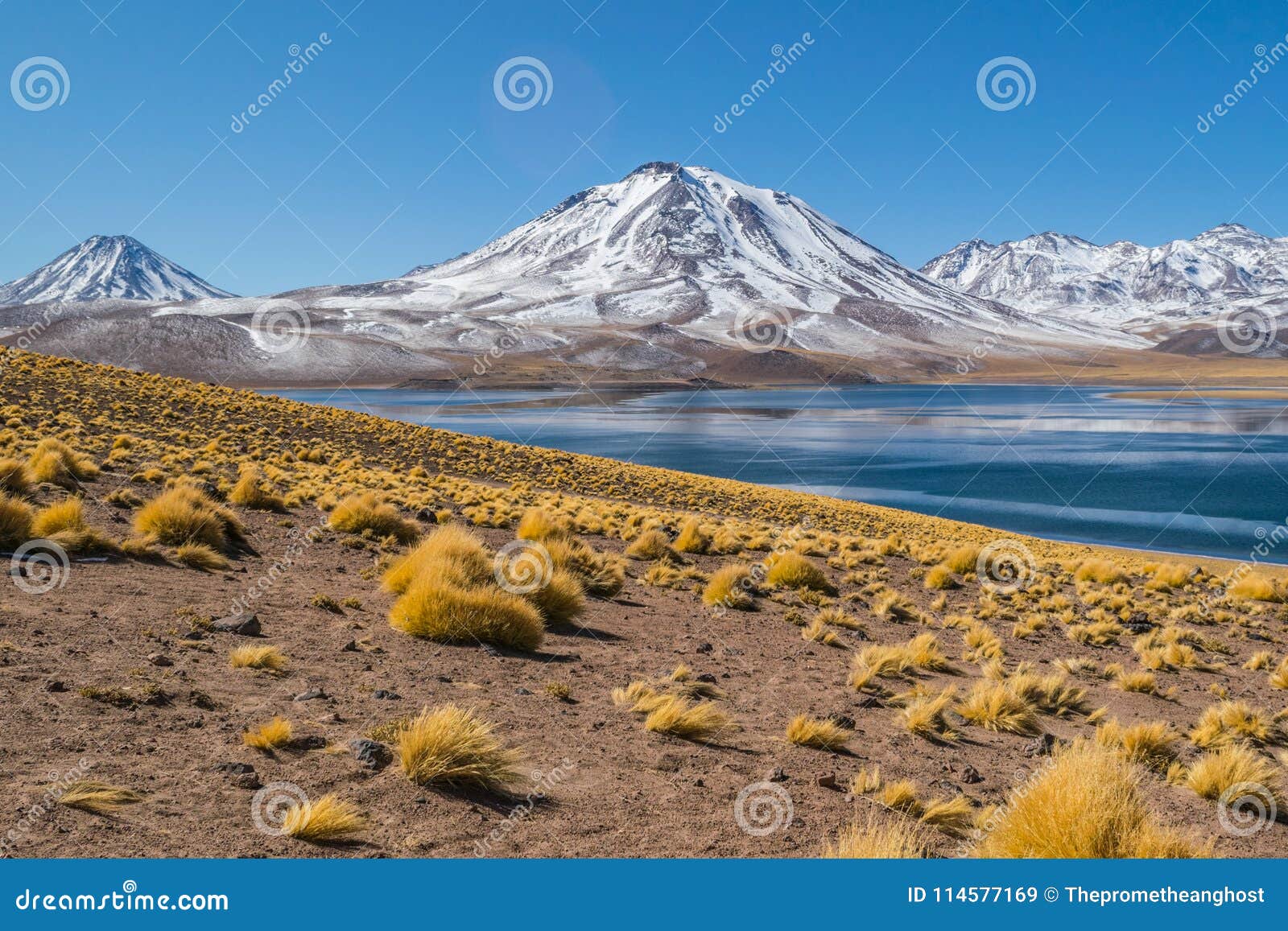 cerro miscanti, seen from the banks of lagunas miscanti located in the altiplano of the antofagasta region, in northern chile