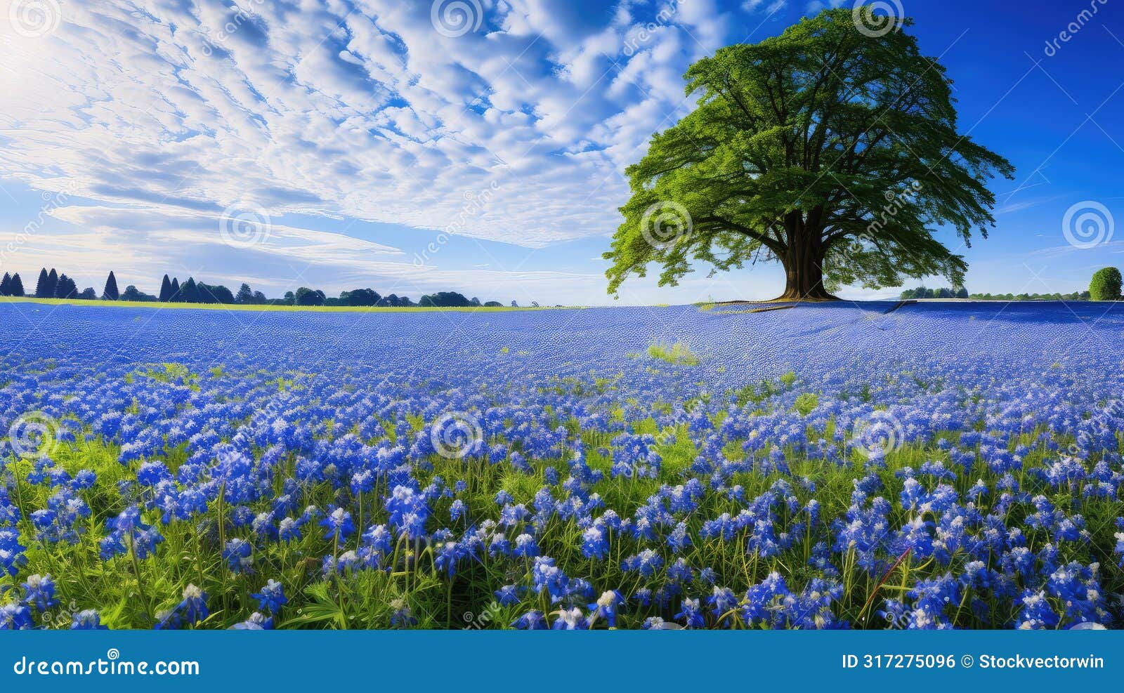 cerulean background blue summer