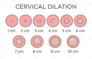 Gynaecologist Cartoons Illustrations Vector Stock Images 52 