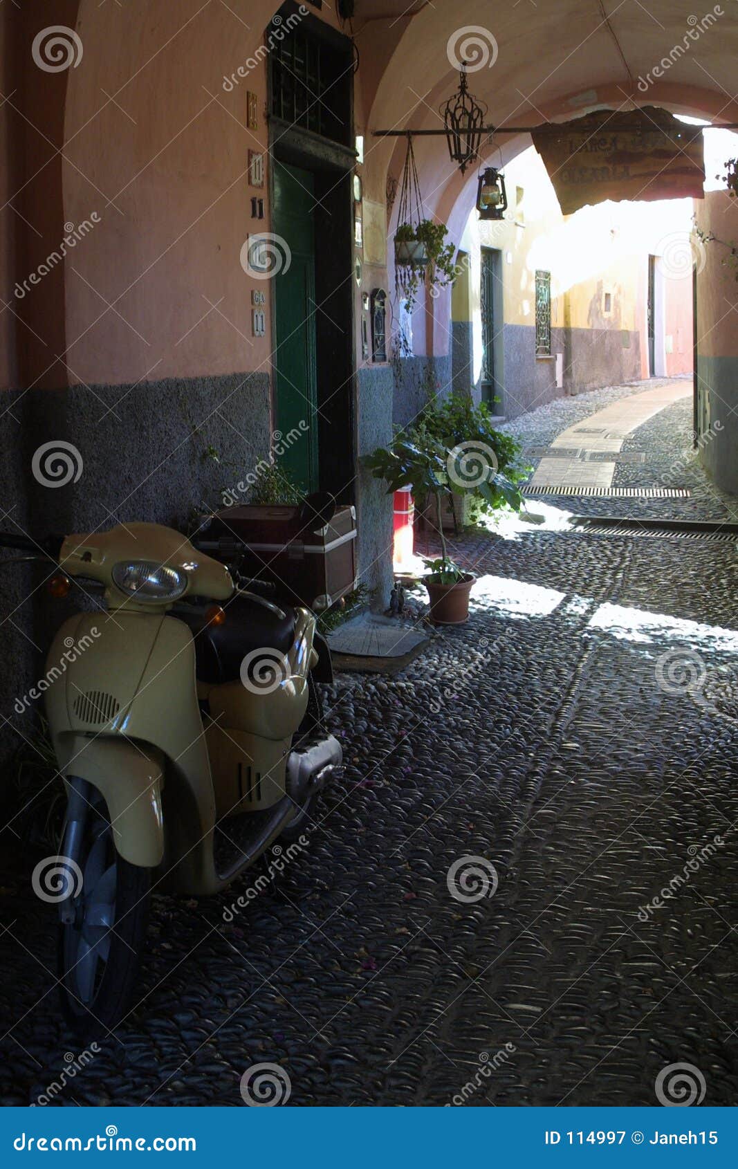 cervo street