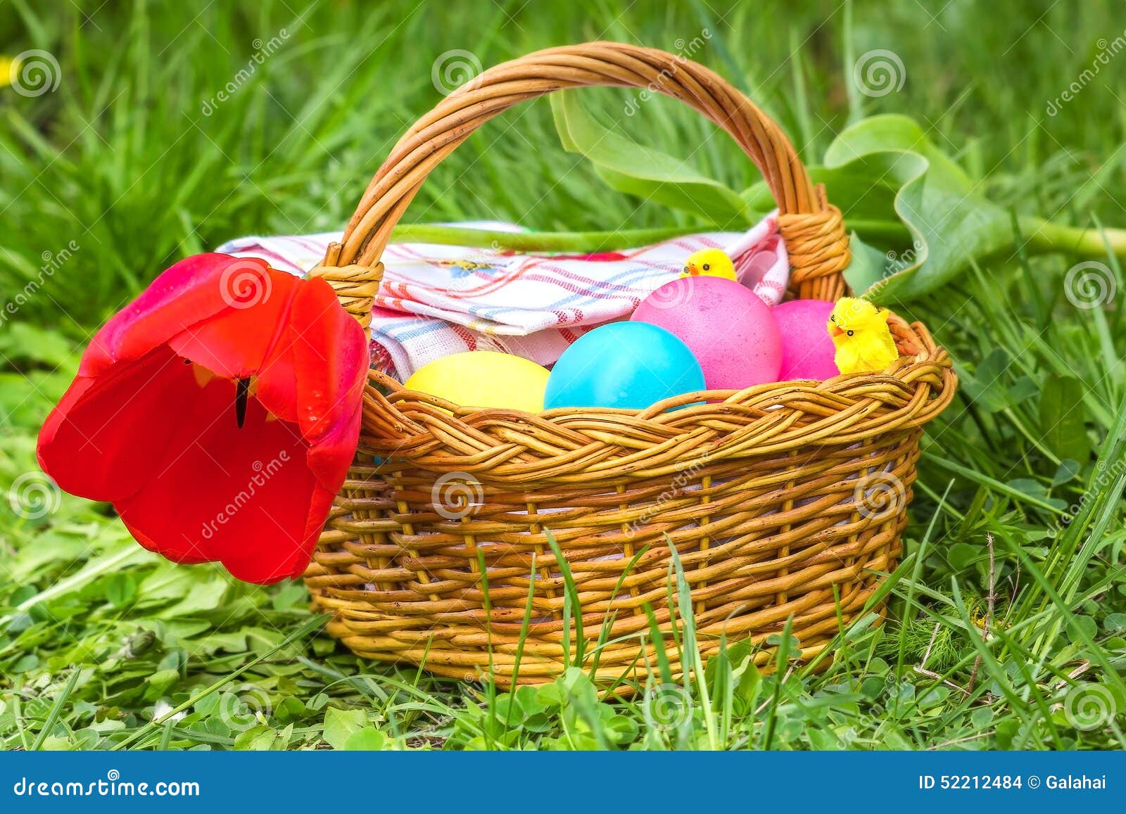 Cesta com ovos da páscoa e a tulipa vermelha. Cesta de vime com ovos coloridos, a tulipa vermelha e os pintainhos do brinquedo na grama verde em um dia de mola